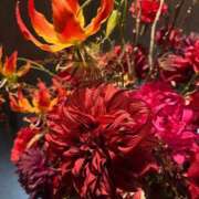 ヒメ日記 2025/07/15 22:07 投稿 氷室 あなたに逢いたくて