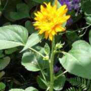 ヒメ日記 2025/07/19 17:07 投稿 氷室 あなたに逢いたくて