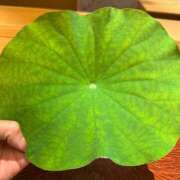 ヒメ日記 2025/08/03 19:27 投稿 氷室 あなたに逢いたくて