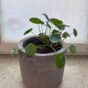 ヒメ日記 2025/08/24 14:07 投稿 氷室 あなたに逢いたくて