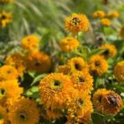 ヒメ日記 2025/08/30 18:37 投稿 氷室 あなたに逢いたくて