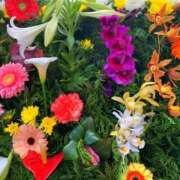 ヒメ日記 2025/09/05 14:07 投稿 氷室 あなたに逢いたくて