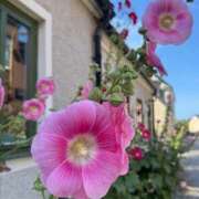 ヒメ日記 2025/09/21 01:17 投稿 氷室 あなたに逢いたくて