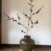 ヒメ日記 2025/09/27 21:37 投稿 氷室 あなたに逢いたくて