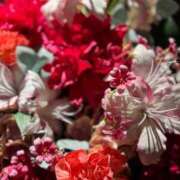 ヒメ日記 2025/09/30 02:37 投稿 氷室 あなたに逢いたくて