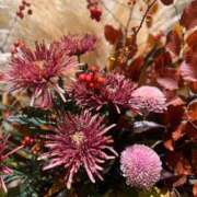 ヒメ日記 2025/10/24 10:27 投稿 氷室 あなたに逢いたくて