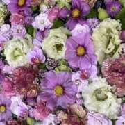 ヒメ日記 2025/11/02 19:02 投稿 氷室 あなたに逢いたくて