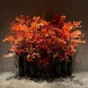 ヒメ日記 2025/11/03 22:57 投稿 氷室 あなたに逢いたくて