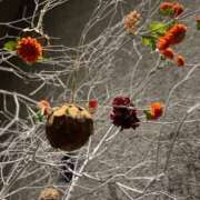 ヒメ日記 2025/11/30 08:57 投稿 氷室 あなたに逢いたくて