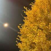 ヒメ日記 2025/12/04 11:37 投稿 氷室 あなたに逢いたくて