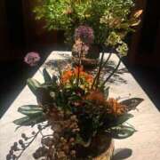 ヒメ日記 2026/01/12 11:07 投稿 氷室 あなたに逢いたくて