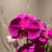 ヒメ日記 2026/01/19 11:17 投稿 氷室 あなたに逢いたくて