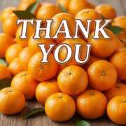 ヒメ日記 2026/01/20 01:37 投稿 氷室 あなたに逢いたくて