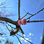 ヒメ日記 2026/02/06 11:47 投稿 氷室 あなたに逢いたくて