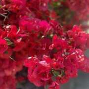 ヒメ日記 2026/02/24 14:17 投稿 氷室 あなたに逢いたくて