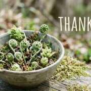 ヒメ日記 2026/03/11 02:27 投稿 氷室 あなたに逢いたくて