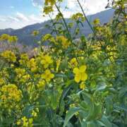 ヒメ日記 2026/03/24 10:47 投稿 氷室 あなたに逢いたくて