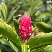 ヒメ日記 2026/04/14 14:48 投稿 氷室 あなたに逢いたくて