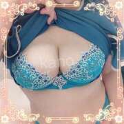 ヒメ日記 2025/03/18 18:52 投稿 北原果乃(きたはらかの) 姫路マダム大奥