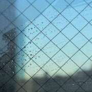 ヒメ日記 2024/12/31 08:32 投稿 れいか 奥鉄オクテツ東京店（デリヘル市場）