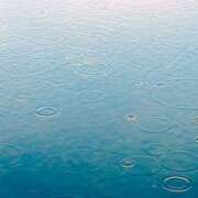 ヒメ日記 2025/01/09 21:01 投稿 れいか 奥鉄オクテツ東京店（デリヘル市場）