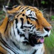 ヒメ日記 2025/01/15 22:01 投稿 れいか 奥鉄オクテツ東京店（デリヘル市場）