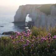 ヒメ日記 2025/01/18 22:00 投稿 れいか 奥鉄オクテツ東京店（デリヘル市場）