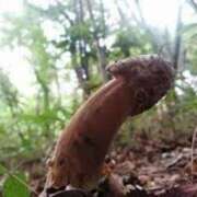 ヒメ日記 2025/02/26 20:01 投稿 れいか 奥鉄オクテツ東京店（デリヘル市場）