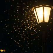 ヒメ日記 2025/05/30 12:31 投稿 れいか 奥鉄オクテツ東京店（デリヘル市場）