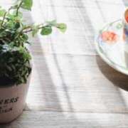 ヒメ日記 2025/06/28 08:31 投稿 れいか 奥鉄オクテツ東京店（デリヘル市場）