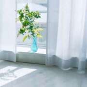 ヒメ日記 2025/07/03 11:02 投稿 れいか 奥鉄オクテツ東京店（デリヘル市場）