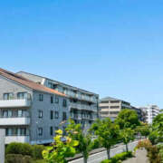 ヒメ日記 2025/08/14 22:05 投稿 れいか 奥鉄オクテツ東京店（デリヘル市場）