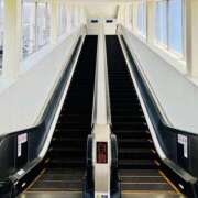 ヒメ日記 2025/08/17 20:34 投稿 れいか 奥鉄オクテツ東京店（デリヘル市場）