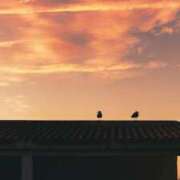 ヒメ日記 2025/09/06 13:01 投稿 れいか 奥鉄オクテツ東京店（デリヘル市場）