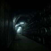 ヒメ日記 2025/09/06 16:01 投稿 れいか 奥鉄オクテツ東京店（デリヘル市場）