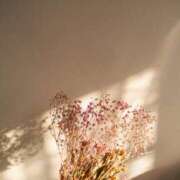 ヒメ日記 2025/09/08 15:30 投稿 れいか 奥鉄オクテツ東京店（デリヘル市場）