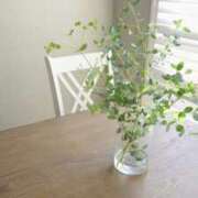 ヒメ日記 2025/09/09 11:01 投稿 れいか 奥鉄オクテツ東京店（デリヘル市場）