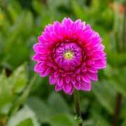 ヒメ日記 2025/09/10 18:01 投稿 れいか 奥鉄オクテツ東京店（デリヘル市場）