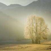 ヒメ日記 2025/09/11 12:00 投稿 れいか 奥鉄オクテツ東京店（デリヘル市場）