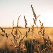 ヒメ日記 2025/09/11 22:00 投稿 れいか 奥鉄オクテツ東京店（デリヘル市場）