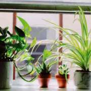 ヒメ日記 2025/09/22 16:05 投稿 れいか 奥鉄オクテツ東京店（デリヘル市場）