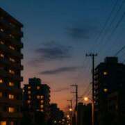 ヒメ日記 2025/09/23 19:00 投稿 れいか 奥鉄オクテツ東京店（デリヘル市場）