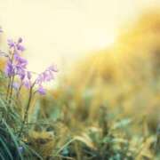 ヒメ日記 2025/09/26 11:01 投稿 れいか 奥鉄オクテツ東京店（デリヘル市場）