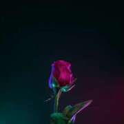 ヒメ日記 2025/09/30 12:39 投稿 れいか 奥鉄オクテツ東京店（デリヘル市場）