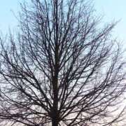 ヒメ日記 2025/10/03 11:32 投稿 れいか 奥鉄オクテツ東京店（デリヘル市場）