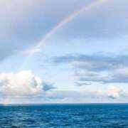 ヒメ日記 2025/10/03 14:30 投稿 れいか 奥鉄オクテツ東京店（デリヘル市場）