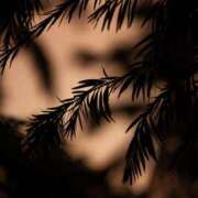 ヒメ日記 2025/10/03 20:30 投稿 れいか 奥鉄オクテツ東京店（デリヘル市場）