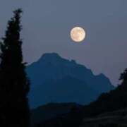 ヒメ日記 2025/10/05 14:00 投稿 れいか 奥鉄オクテツ東京店（デリヘル市場）