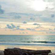 ヒメ日記 2026/02/02 18:26 投稿 れいか 奥鉄オクテツ東京店（デリヘル市場）