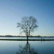 ヒメ日記 2026/02/04 13:06 投稿 れいか 奥鉄オクテツ東京店（デリヘル市場）